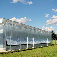 Grande serre en polycarbonate ondulé d'occasion pour l'agriculture de la fraise, style Venlo, système hydroponique multi-voûtes
