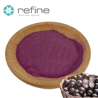 Groothandel Zuiver Natuurlijk Acai-bessenextract Wateroplosbaar Acai-bessen Fruitpoeder