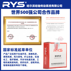 RYS Harbin Bearing Drive 7602050 7603020 TN P4 DB DT DF Two Pair Matching - Product Image 5