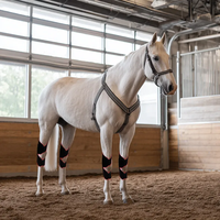 OEM ODM Capuche Equine Genoux Jambes Bottes Couverture LED Infrarouge Lumière Rouge Thérapie Cheval