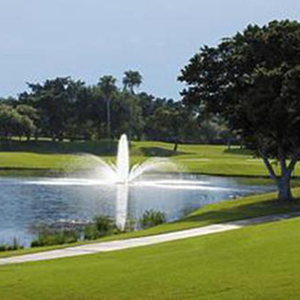 DISEÑO GRATUITO Piscina con Forma de Flor, Campo de Golf Flotante Portátil Pequeño para Agua - Product Image 3