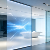 Película LED Transparente a Todo Color, Película LED Adhesiva Flexible para Pantallas en Centros Comerciales, Fachadas de Vidrio de Tiendas