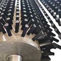 Voedselveilige cilindrische borstelrol 155mm diameter metalen handvat op maat gemaakte export nylon borstelharen JXY merk voor fruit en groenten