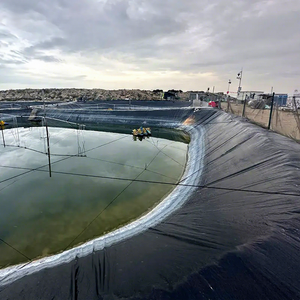 Geomembrana HDPE Impermeabile ed Ecologica a Basso Costo per Rivestimento di Laghetti Artificiali, 200-1500 Micron, Nera, Durata 5+ Anni - Product Image 2