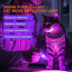 Túi nhỏ <span class=keywords><strong>Led</strong></span> UV đèn pin với hợp kim nhôm cơ thể 395nm tím ánh sáng UV Penlight với kim loại Clip Tail Switch <span class=keywords><strong>Torch</strong></span> ánh sáng - Product Image 3