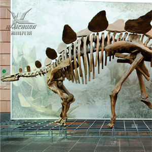 Nhà Máy Trực Tiếp Saleartificial Chất Lượng Cao Khủng Long Hóa Thạch Bộ Xương Cho Bảo Tàng - Product Image 3