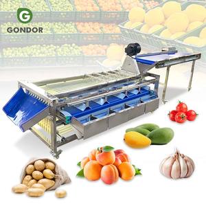 Machine de triage et de calibrage de fruits (noix de coco, citron, papaye, grenade, abricot, agrumes, orange) pour kiwi - Product Image 1