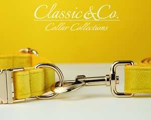 Collar y Correa Personalizados para Perro Veet Amarillo con Lazo Floral y Placa Grabada Silenciosa con Nombre, Regalo para Cachorros de Boda (Pequeño/Mediano/Grande) - Product Image 6