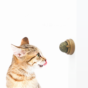 Natürliches Katzenzahnreinigungs-Rotationspuzzle-Ball mit Minze und Katzenminze-Spielzeug für Katzen - Product Image 5