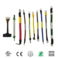 HINICABLE HYH-INT-062 OEM Faisceau de câbles électriques durable et personnalisable pour l'électronique industrielle, conducteur en cuivre CE