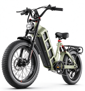 Bicicleta Eléctrica de Montaña Eahora Juliet, 250W, 52V, Todoterreno, Llantas Anchas, Cuadro de Acero, 20 Pulgadas, para Adultos, Aventura - Product Image 1