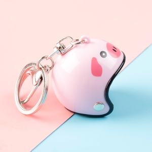 Porte-clés zodiaque pour moto, en forme de canard cassé, lampe pour bicyclette, accessoires d'intérieur, nouveauté, livraison gratuite, - Product Image 5