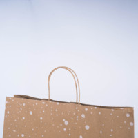 Sacs en papier kraft écologiques et recyclables à bas prix, imprimés en flexographie, biodégradables, pour vêtements et chaussures, personnalisables