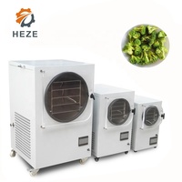 4Kg 5Kg 6Kg 10 11 13lb Kleine Vacuüm Vriesdroger Voor Thuisgebruik In Het Laboratorium