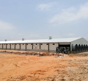 Casa de Campo Moderna Pré-fabricada em Estrutura de Aço Personalizada com Painel Sanduíche para Uso Avícola - Product Image 4