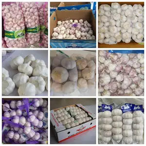 Wholesale Garlic Price In China Fresh China 3p Pure White Garlic Fresh Garlic
