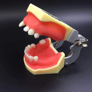 학생들이 연습 모델을 심는 치과 훈련 연습 시뮬레이션 모델 - Product Image 3