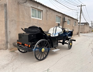 Precio de Fábrica al por Mayor XCEGO Carruajes Reales de Cenicienta, Carruaje Eléctrico sin Caballos, Carroza de Princesa para Paseos Turísticos Xuchang - Product Image 5