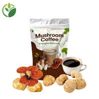 Mélange de poudre de champignons en gros OEM, mélange instantané de café aux champignons, café aux champignons Reishi et Lion's Mane, extrait de plante