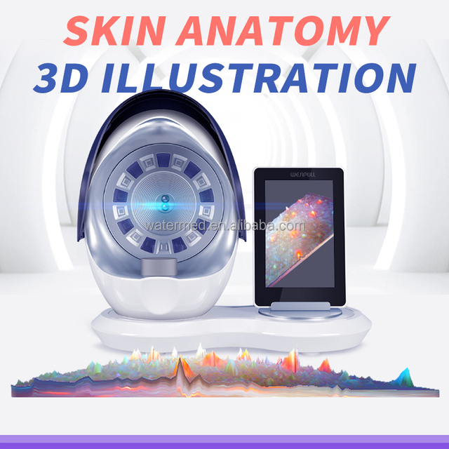 3D AI Facial Skin Analyzer Professional Full Face Skin Detection Scanner