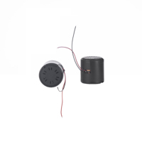 Moteur de vibration de manette de jeu de remplacement pour contrôleur PS5 Pièce de réparation de moteur intégrée