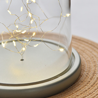 Support de fleurs préservées en verre avec base en bois gris et éclairage LED pour décoration de table et de maison (vente en gros)