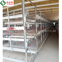 Cages pour poulets de chair de type H, cages automatiques pour poulets de chair, équipement d'élevage avicole automatique, cage d'alimentation automatique pour poulets