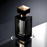 Vente en gros Bouteilles vides de parfum élégantes de luxe de qualité supérieure de 30ml 100ml 50ml Conteneur de bouteille de parfum en verre rectangle noir moderne