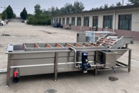 Draagbare wollenrol fruit- en groentewasmachine met transportband voor het wassen van gember en fruit.