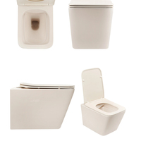 WC suspendu moderne en céramique couleur mate, avec réservoir d'eau dissimulé, pour la maison