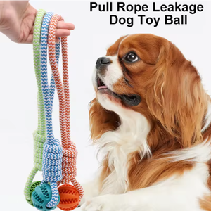 Küçük hayvanlar için lüks çevre dostu naylon pamuk halat çiğnemek oyuncak dayanıklı TPR kauçuk topu diş dayanıklı sızdıran sevimli - Product Image 4