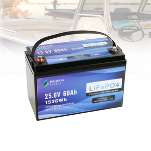 Propow Waterproof Lithium Marine <b>Batteries</b> <b>24V</b> 60Ah Deep Cycle <b>Battery</b> - Product Image 2