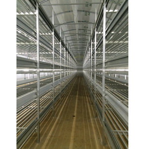 Steel Customized White Button Mushroom Growing Equipment Mushroom Growing Shelf For Mushroom <b>Cultivation</b> - Product Image 4
