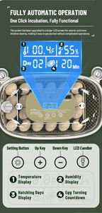 WONEGG 24 Volteador Automático de Huevos 360 °   Incubadora para Huevos de Gallina, <span class=keywords><strong>Pato</strong></span> y Codorniz - Product Image 3
