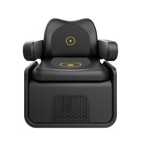 Chaise de thérapie magnétique 2-en-1 avec sortie double zone pour le plancher pelvien et le dos – Solution indolore et non invasive pour l'incontinence
