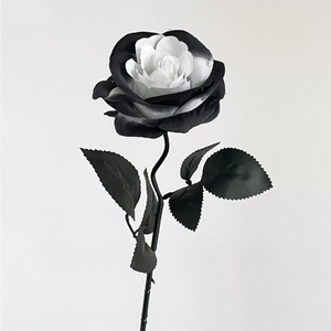 Vendita calda di seta artificiale <span class=keywords><strong>rose</strong></span> bianche e <span class=keywords><strong>nere</strong></span> con fiori a stelo utilizzati per eventi di decorazione di nozze gotiche - Product Image 3