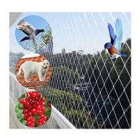 Filet anti-oiseaux agricole fabricant/filet anti-oiseaux Invisible/filet anti-oiseaux de jardin