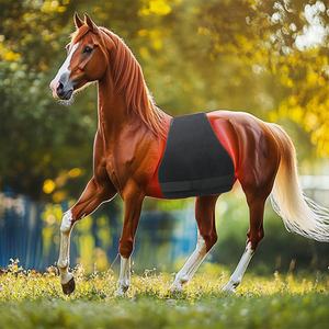 Almohadilla de Terapia de Luz Roja Equina, Instrumento Veterinario LED Infrarrojo para el Cuidado de Caballos, Manejo del Dolor y Mejora de la Circulación Sanguínea - Product Image 5