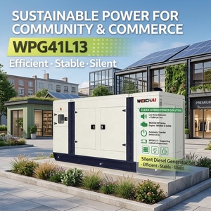Groupe électrogène diesel silencieux WPG41L13 30KW en promotion pour la construction et l'alimentation de secours - Product Image 6