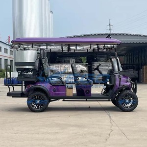 Voiturette de golf électrique de conception nouvelle, fabriquée en usine, avec système audio, luxueuse et moderne, pour 6 personnes, transport spécial - Product Image 5