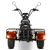 Nouveau Design 2025 – Tricycle Électrique Ouvert Citycoco avec Moteur 2000W, Batterie Amovible 60V20Ah, Certificat CEE/COC