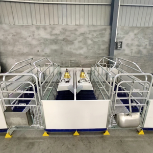 Box de mise bas double avec deux lampes chauffantes et double grille, deux truies partagent les zones chaudes et les sols anti-blessures, réduit la perte de truies de moins de 3 % par cycle. - Product Image 1