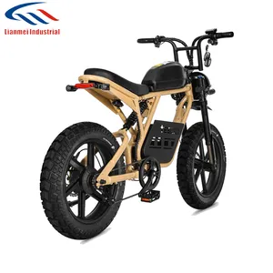 Adults 48V 500w Electric Bicycle Mountain Electric Bike With 20 Inch Fat Tire