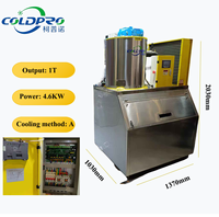 Machine à glace en flocons de 1000 kg/1T, vente directe usine, grande capacité, pour usine alimentaire, usage industriel, couleurs personnalisables