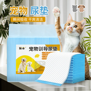 Couches d'apprentissage pour animaux de compagnie, absorbantes et jetables, pour chiens et chats, 20, 40, 50, 100 pièces - Product Image 1