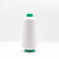 Hilo de Nailon Teñido en Masa Ecológico 70D/24F DTY, Resistente a la Decoloración, Alta Uniformidad de Color para Ropa Deportiva