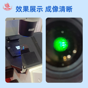 Un ensemble de 9 lamelles de microscope à fluorescence est disponible pour la préparation de spécimens microscopiques biologiques. - Product Image 4