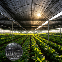 Filet d'ombrage noir 100% HDPE vierge, tissé plat, épaissi, haute résistance, anti-âge, personnalisable pour serre de légumes