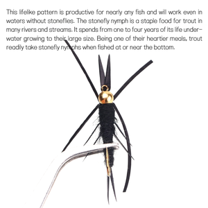 หัวลูกปัดทองเหลืองสีดำ STONEFLY Nymph ยางขาทองแดงลวดสลิงแมลงหนอนผีเสื้อเปียกปลาเทราท์เบสเหยื่อตกปลา - Product Image 4