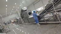 3 Ton/uur PLC-motor bevroren vruchten- en groenteproductielijn, hoogwaardige voedselveilige roestvrijstalen industriële bevroren apparatuur